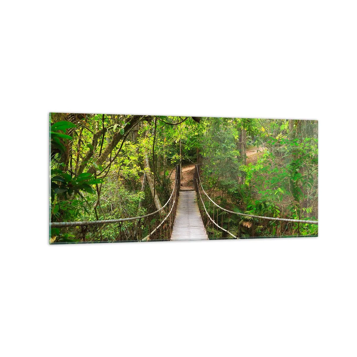 Quadro su vetro - Un ponte sospeso circondato da una foresta pluviale verde - 120x50cm - Perché nel giardino crescono i rampicanti - Decorazione murale moderna per soggiorno e camera da letto ARTTOR