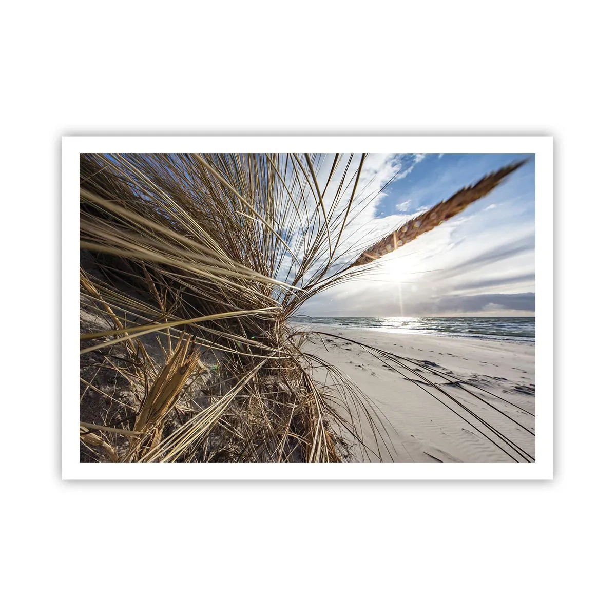 Poster - Una spiaggia con erba secca sulle dune e vista sul mare - 100x70cm - L'incontro degli elementi - Decorazione murale moderna per soggiorno e camera da letto ARTTOR