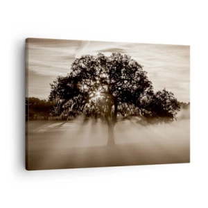Quadro su tela - Stampe su Tela - Raggi di sole che brillano attraverso un albero solitario - 70x50cm - L'albero delle sole buone notizie - Decorazione murale moderna per soggiorno e camera da letto ARTTOR