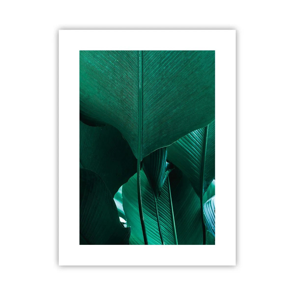 Poster - Verso la luce - 30x40 cm