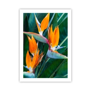Poster - Fiori di Strelitzia circondati da foglie verdi - 50x70cm - È un fiore o un uccello? - Decorazione murale moderna per soggiorno e camera da letto ARTTOR