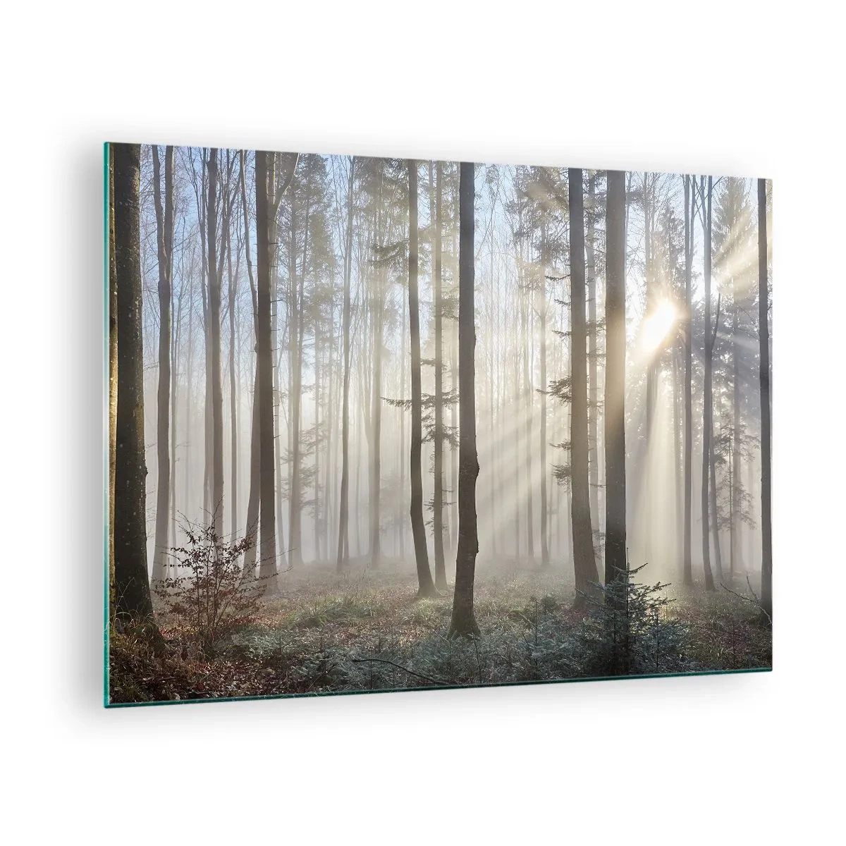 Quadro su vetro - I raggi del sole mattutino penetrano nella foresta nebbiosa - 70x50cm - Anche la nebbia si è svegliata - Decorazione murale moderna per soggiorno e camera da letto ARTTOR