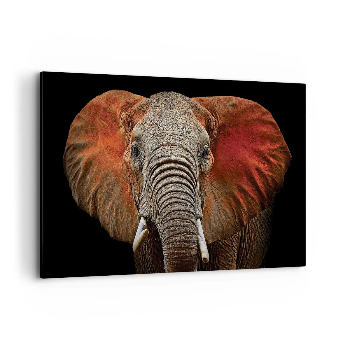 Quadro su tela - Stampe su Tela - Ritratto di un elefante su sfondo nero - 120x80cm - Sono selvaggio e tu? - Decorazione murale moderna per soggiorno e camera da letto ARTTOR