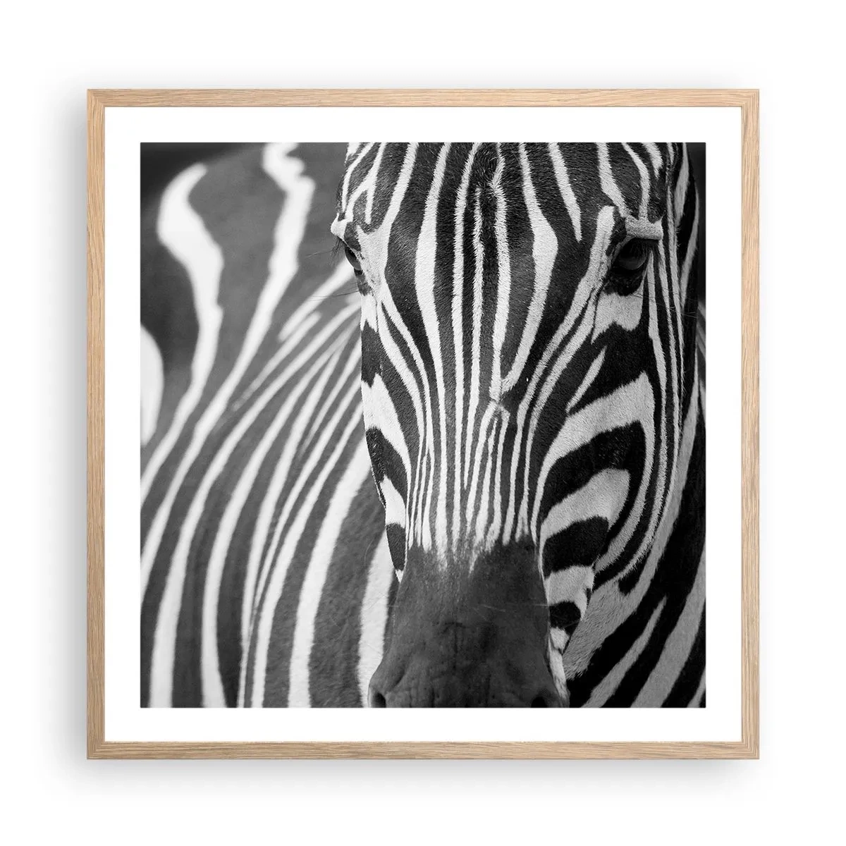 Poster in cornice rovere chiaro - Il mondo è in bianco e nero - 60x60 cm