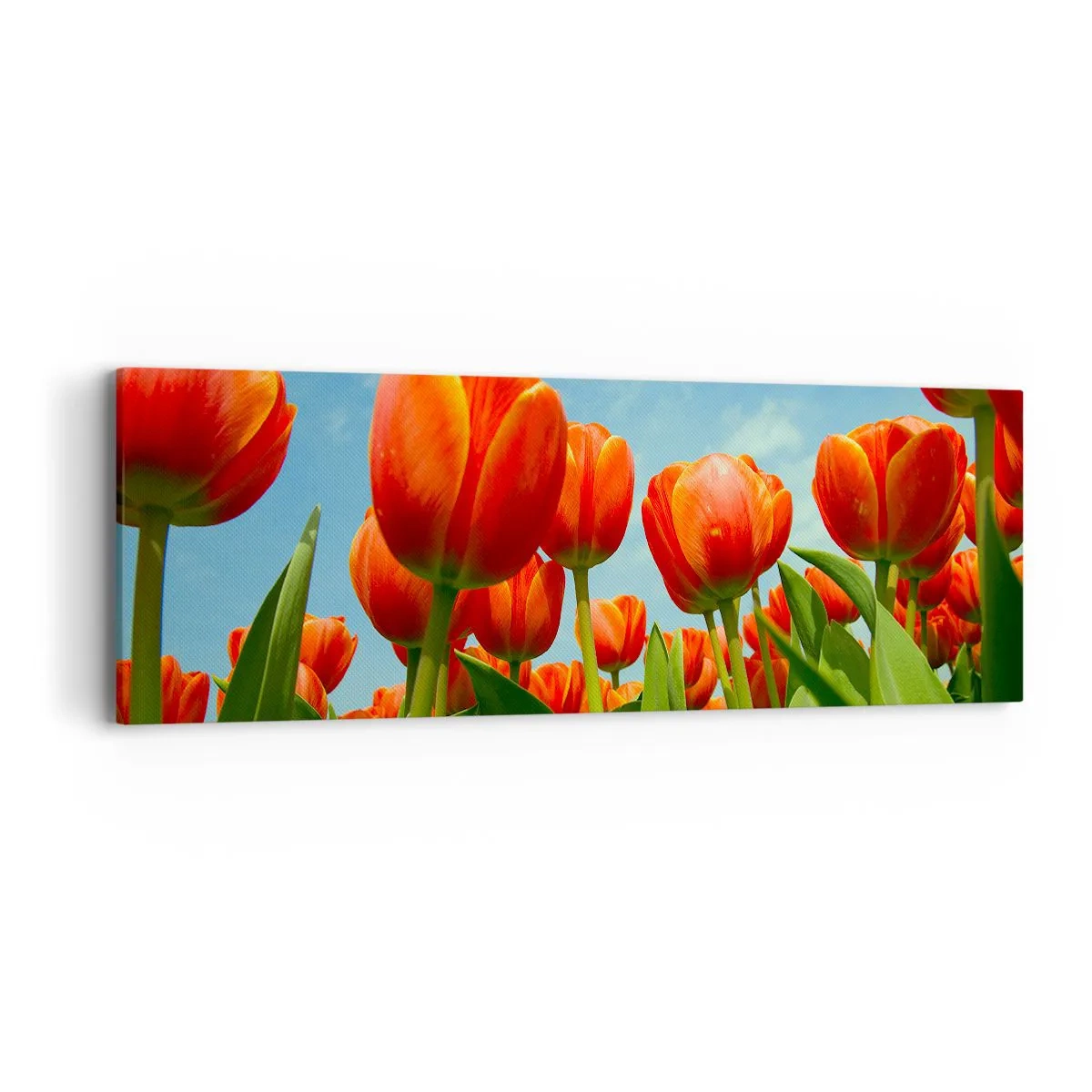 Quadro su tela - Stampe su Tela - A loro non serve nulla oltre al cielo azzurro - 90x30 cm
