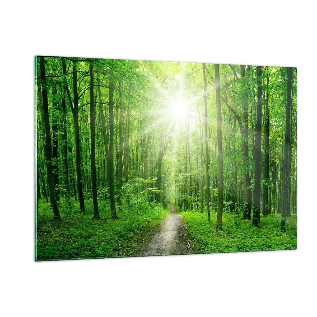 Quadro su vetro - Un sentiero nel bosco illuminato dai raggi del sole - 120x80cm - Cattedrale verde - Decorazione murale moderna per soggiorno e camera da letto ARTTOR