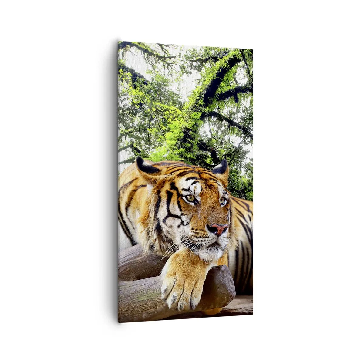 Quadro su tela - Stampe su Tela - Con espressioni di stima - 65x120 cm