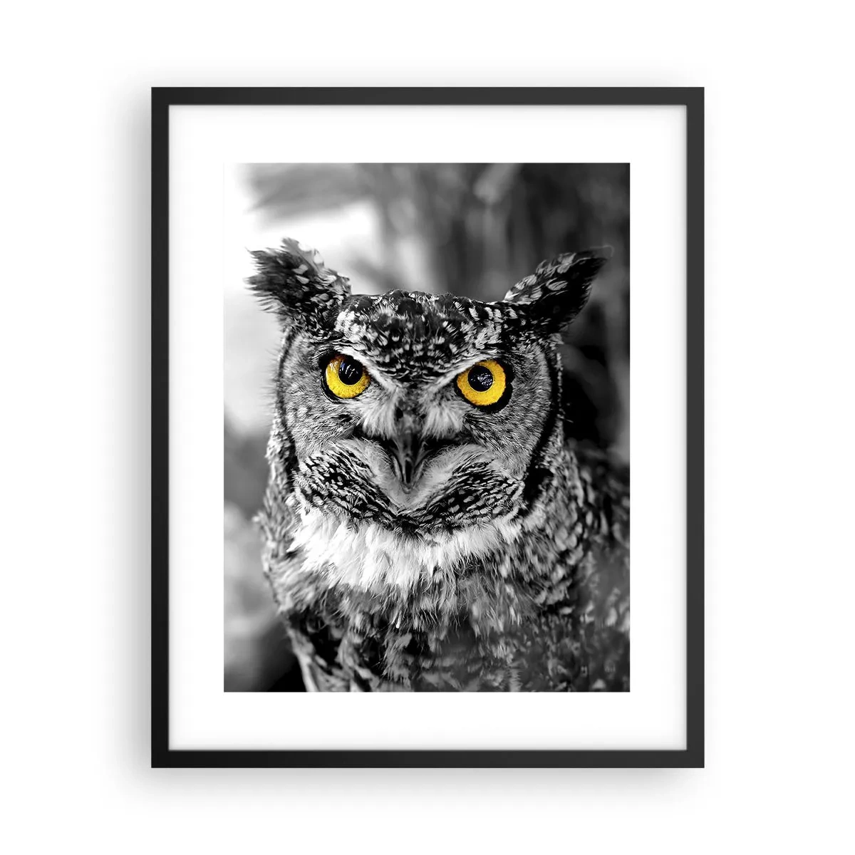 Poster in cornice nera - Non si può nascondere niente - 40x50 cm