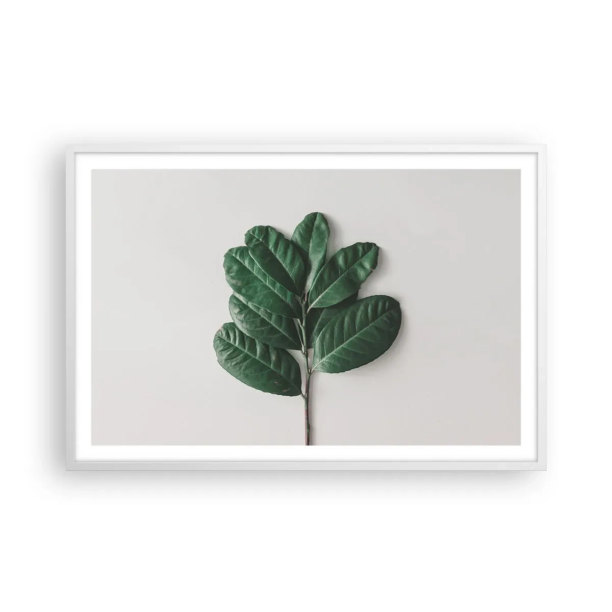 Poster in cornice bianca - Il disegno della natura stessa - 91x61 cm