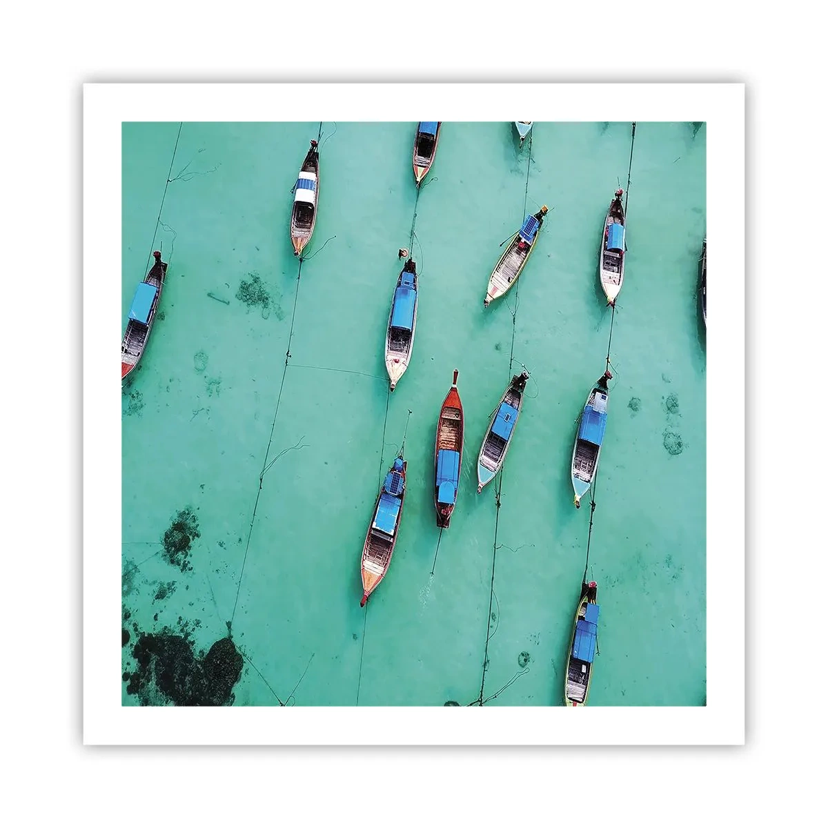 Poster - In gioiosa attesa - 60x60 cm