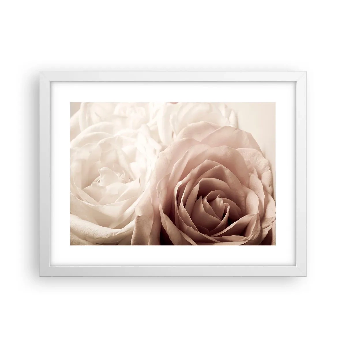 Poster in cornice bianca - Nel cuore della rosa - 40x30 cm