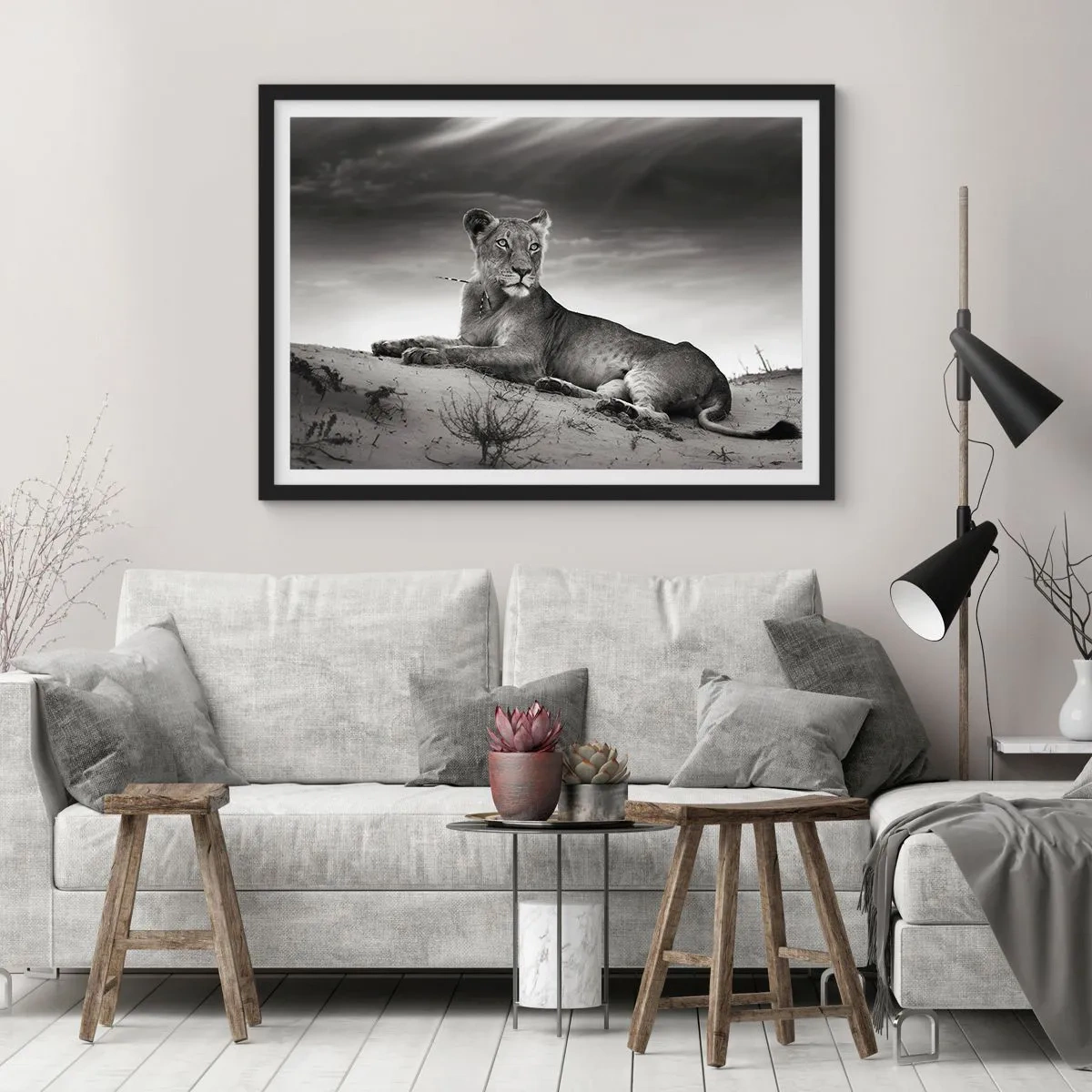 Poster in cornice nera - Il riposo della regina del deserto - 91x61 cm