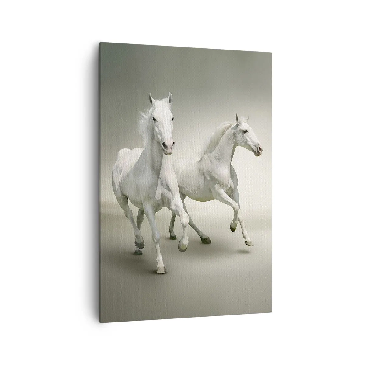 Quadro su tela - Stampe su Tela - Due cavalli bianchi al galoppo su uno sfondo chiaro - 70x100cm - White power! - Decorazione murale moderna per soggiorno e camera da letto ARTTOR
