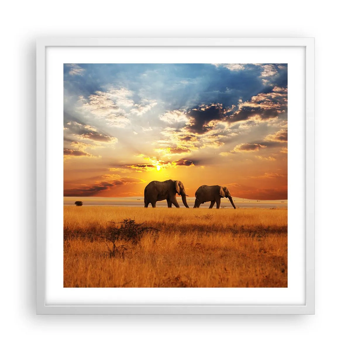 Poster in cornice bianca - Passeggiata familiare - 50x50 cm