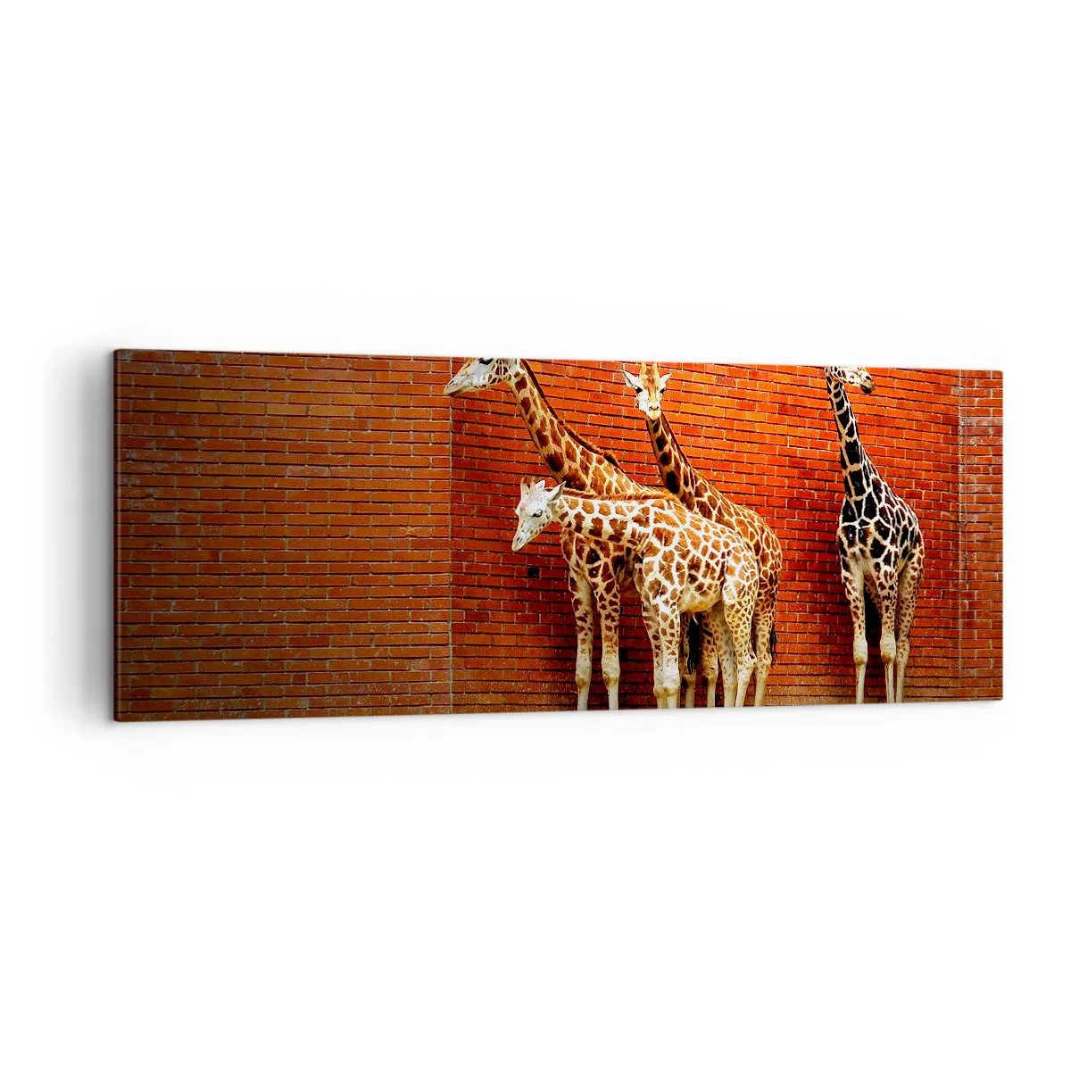 Quadro su tela - Stampe su Tela - Quattro giraffe contro un muro di mattoni in un ambiente artistico - 140x50cm - Vedete qualche acacia? - Decorazione murale moderna per soggiorno e camera da letto ARTTOR