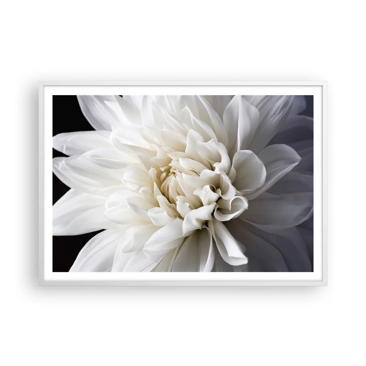 Poster in cornice bianca - Il mattino della sposa - 100x70 cm