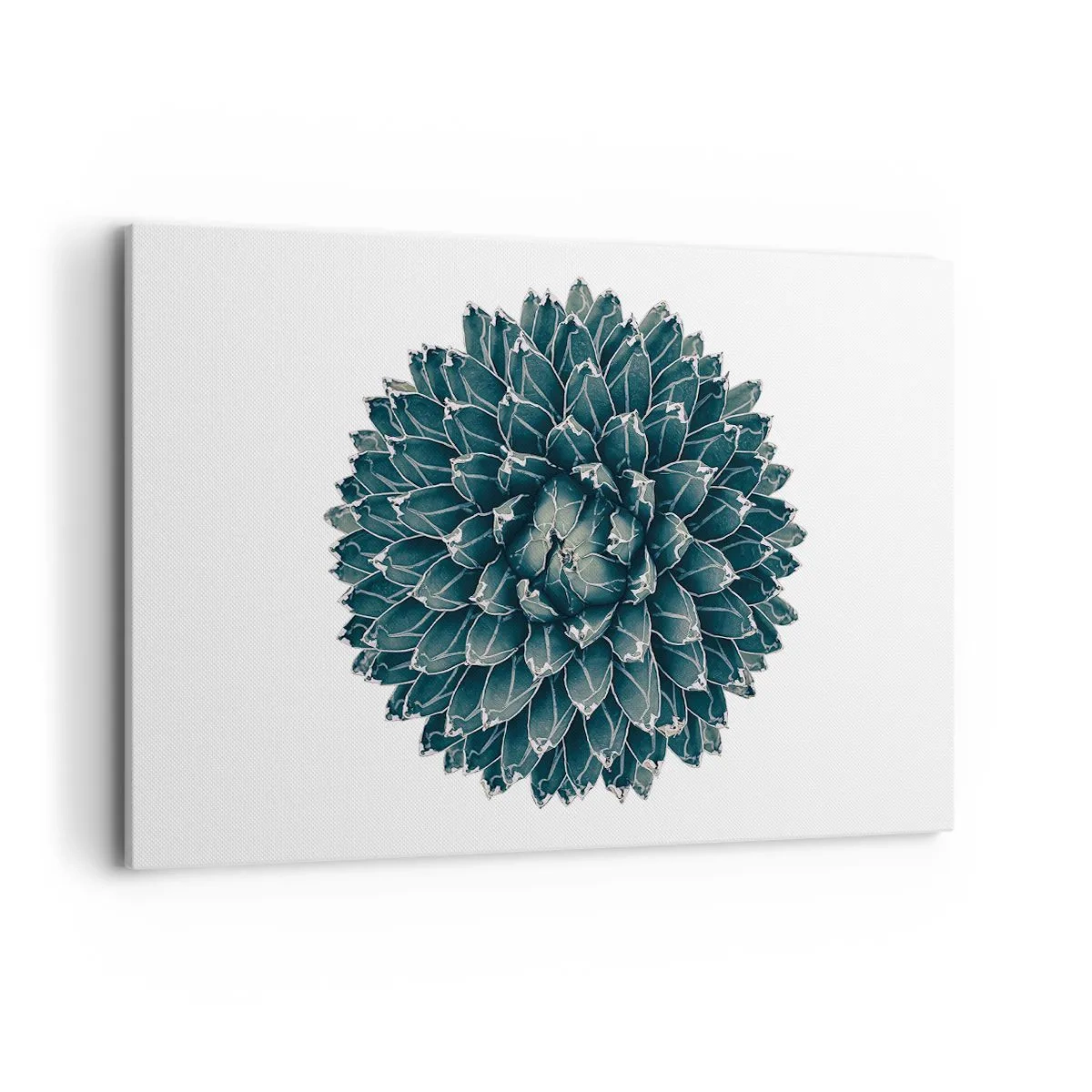 Quadro su tela - Stampe su Tela - Pianta succulenta simmetrica su sfondo bianco - 120x80cm - La stella del deserto - Decorazione murale moderna per soggiorno e camera da letto ARTTOR