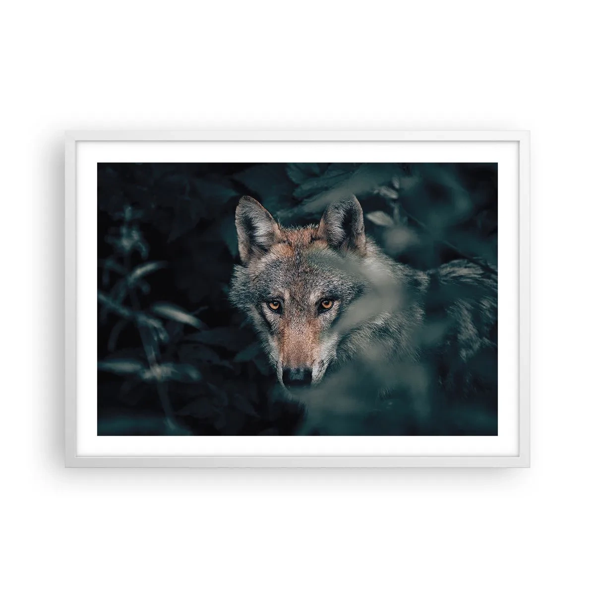 Poster in cornice bianca - Cacciatore - 70x50 cm