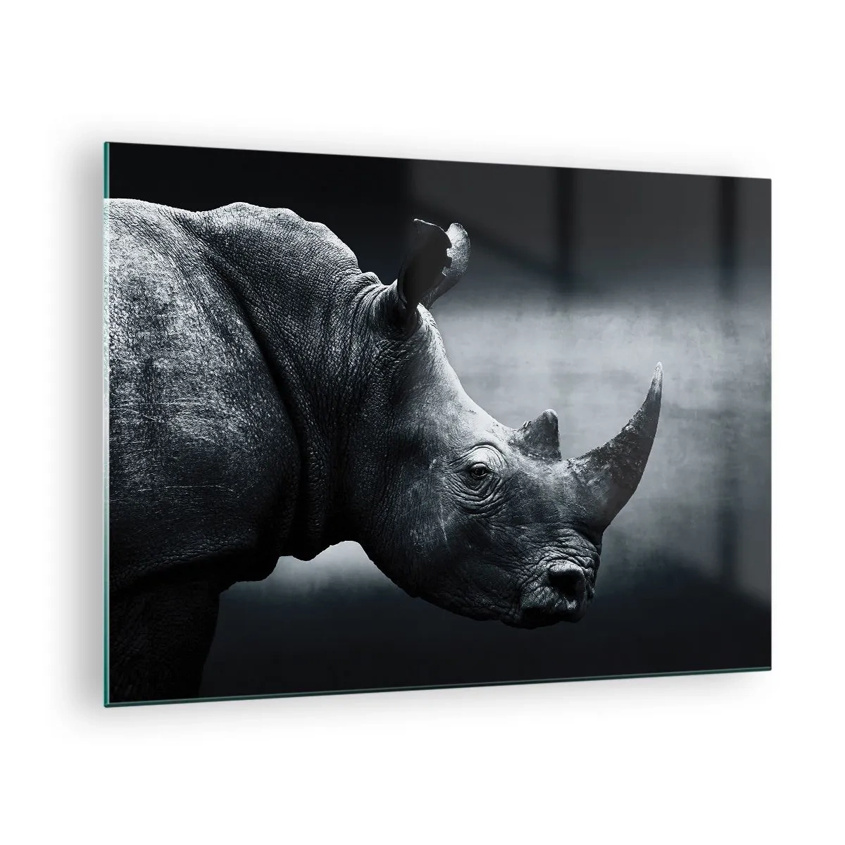 Quadro su vetro - Ripresa in bianco e nero di un rinoceronte - 70x50cm - Profilo destro - Decorazione murale moderna per soggiorno e camera da letto ARTTOR