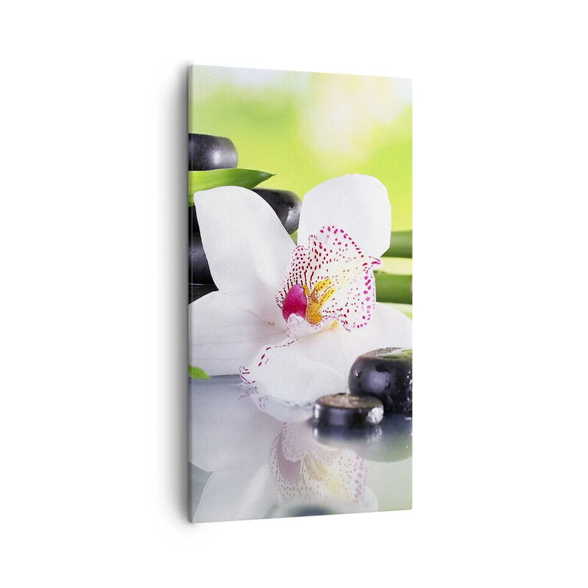 Quadro su tela - Stampe su Tela - Freschezza rinfrescante - 55x100 cm