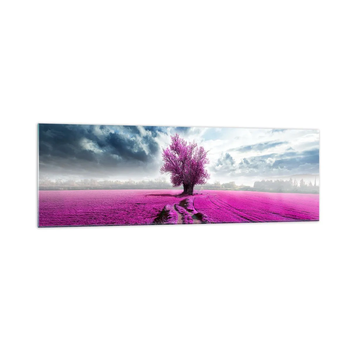 Quadro su vetro - Un albero solitario in un campo in una tonalità di rosa intenso - 160x50cm - Brughiera selvatica - Decorazione murale moderna per soggiorno e camera da letto ARTTOR