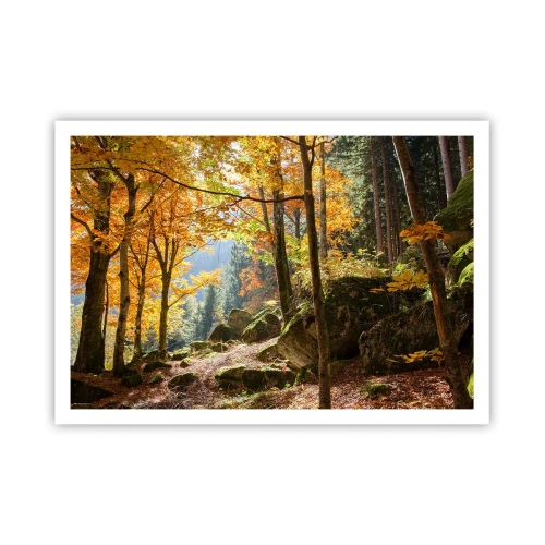 Poster - Una foresta autunnale piena di foglie dorate e luce solare - 100x70cm - Il tempo del riposo - Decorazione murale moderna per soggiorno e camera da letto ARTTOR