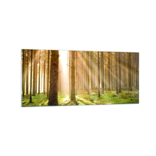 Quadro su vetro - Foresta di conifere con raggi di sole che brillano attraverso gli alberi - 120x50cm - Adesso appaiono gli elfi - Decorazione murale moderna per soggiorno e camera da letto ARTTOR