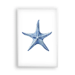 Poster in cornice bianca - Stella marina - 61x91 cm