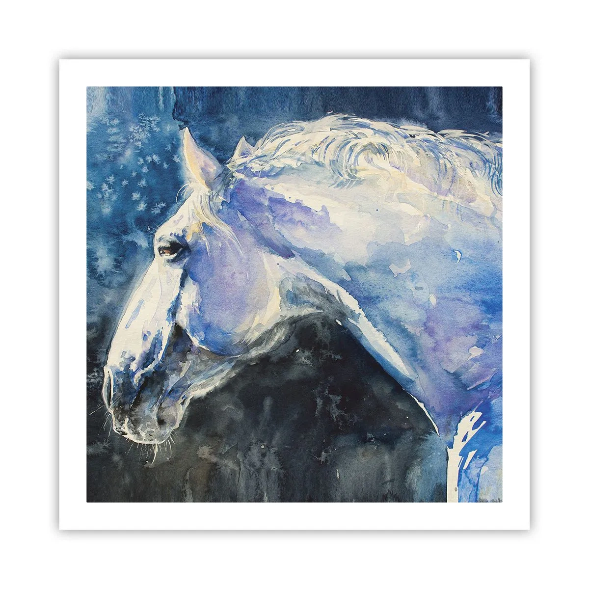 Poster - Ritratto in luce blu - 60x60 cm