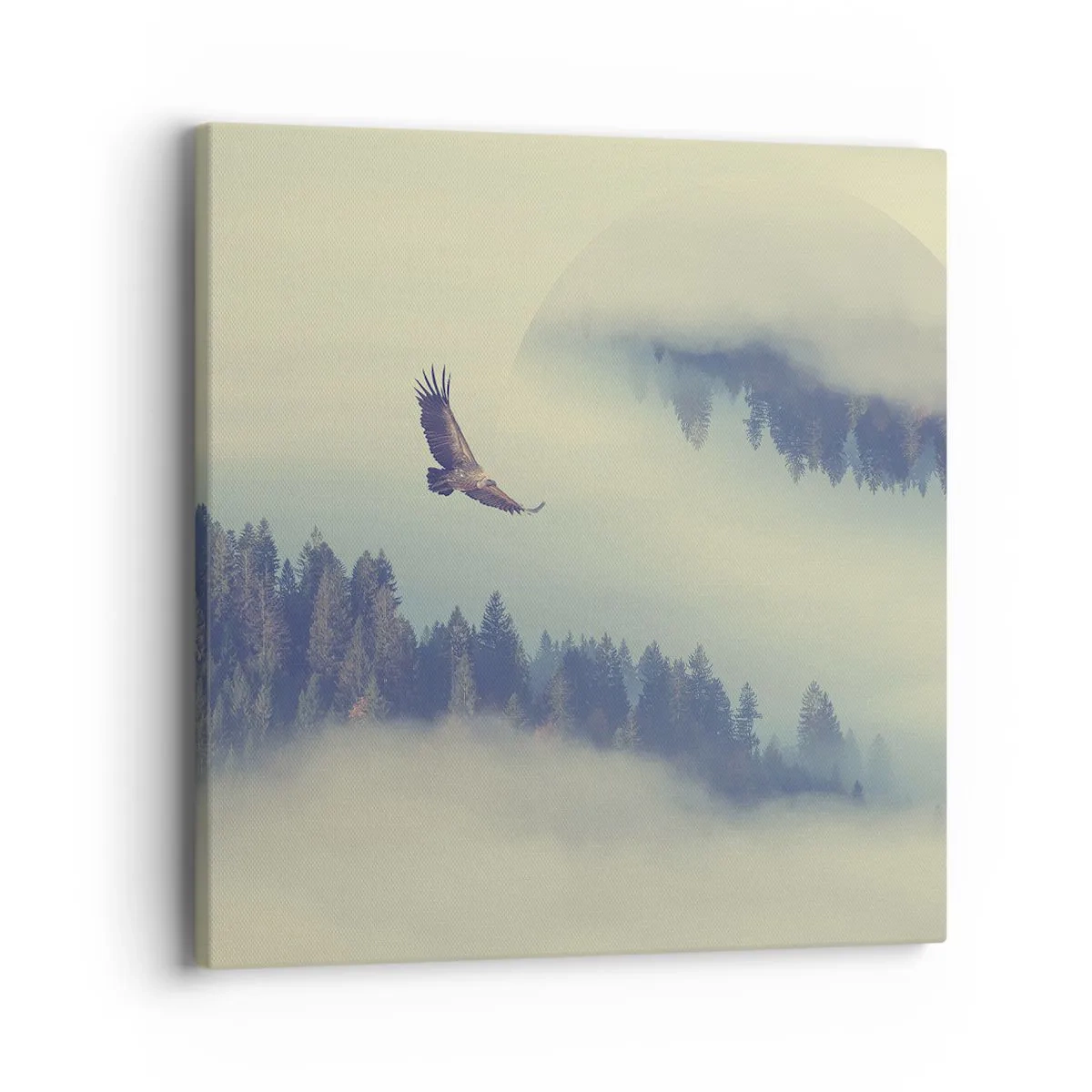 Quadro su tela - Stampe su Tela - Ho visto l'ombra dell'aquila - 40x40 cm