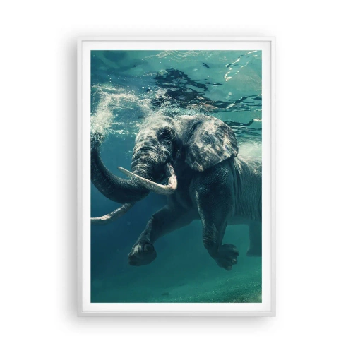 Poster in cornice bianca - Tutti amano nuotare - 70x100 cm