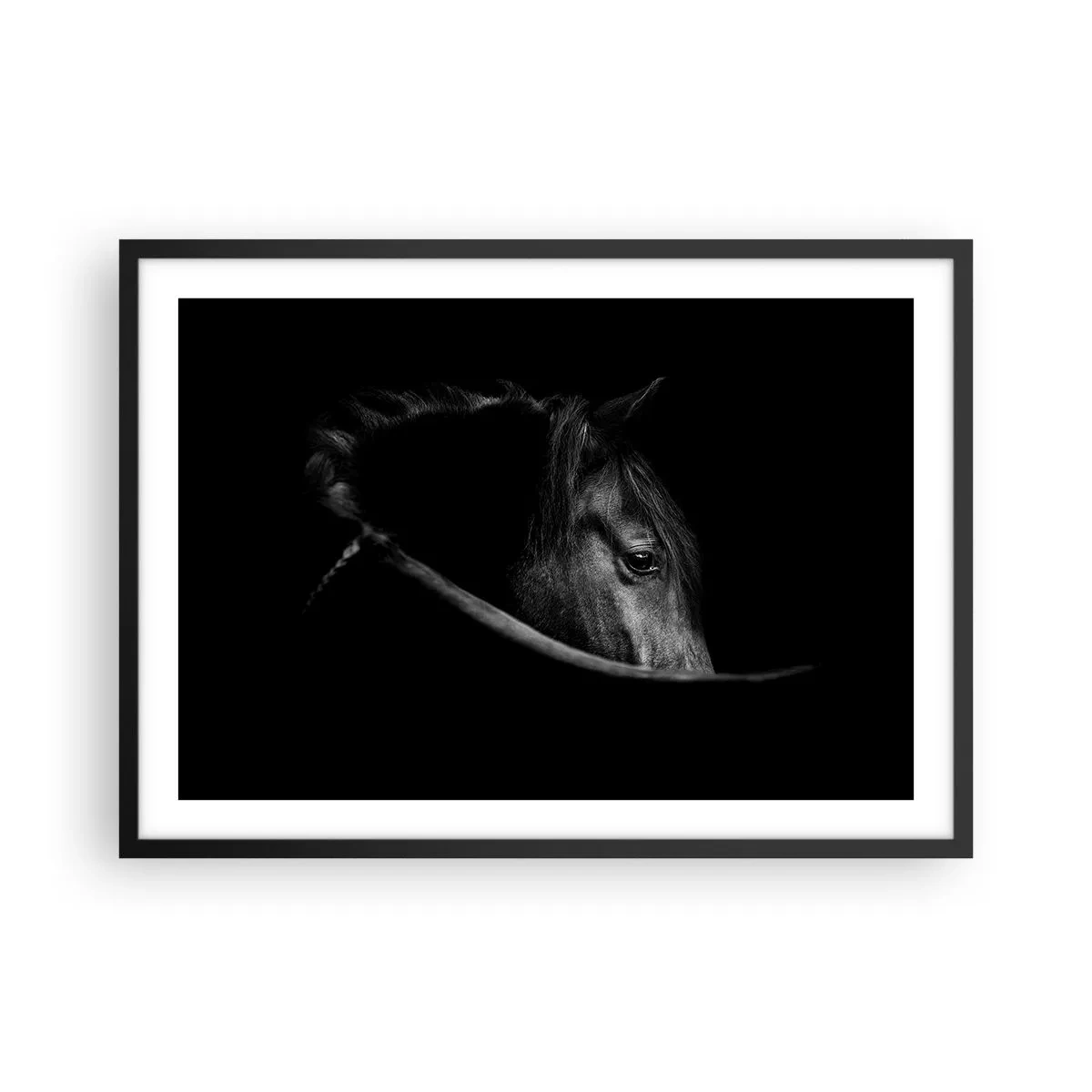 Poster in cornice nera - Ritratto in bianco e nero di un cavallo con un sottile gioco di luci e ombre su uno sfondo scuro. - 70x50cm - Il principe nero - Decorazione murale moderna per soggiorno e camera da letto ARTTOR