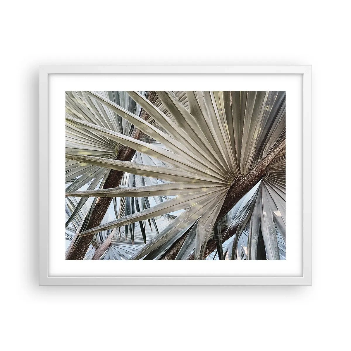 Poster in cornice bianca - Ventagli dei tropici - 50x40 cm
