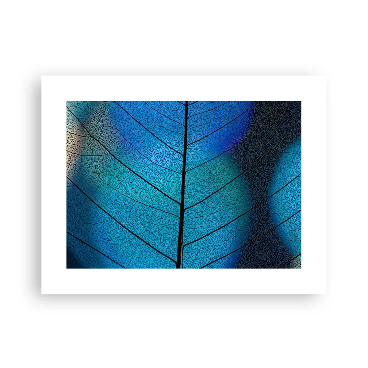 Poster - Struttura intricata - 40x30 cm