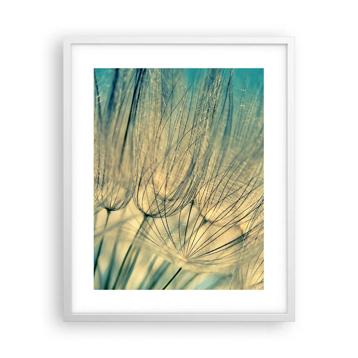 Poster in cornice bianca - Aspettando il vento - 40x50 cm