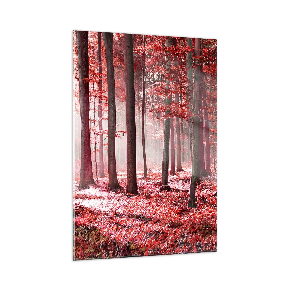 Quadro su vetro - Foresta autunnale nei colori rossi e nebbia mattutina - 50x70cm - Anche rosso è bello - Decorazione murale moderna per soggiorno e camera da letto ARTTOR