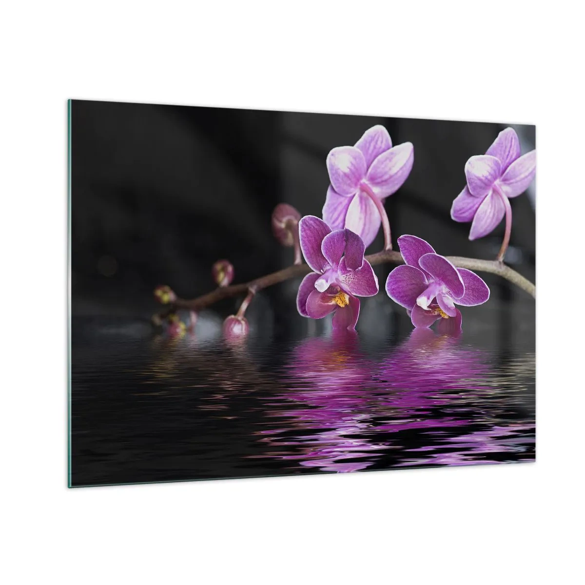 Quadro su vetro - Orchidee viola riflesse nell'acqua - 100x70cm - La bellezza riflessa dai gigli - Decorazione murale moderna per soggiorno e camera da letto ARTTOR
