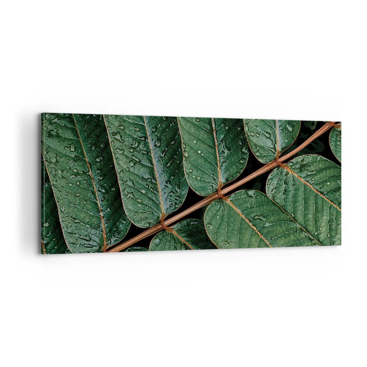Quadro su tela - Stampe su Tela - Al ritmo verde - 100x40 cm
