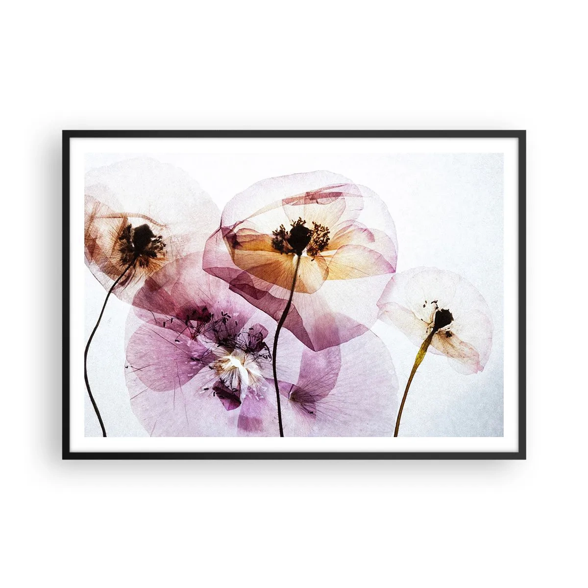 Poster in cornice nera - Delicati fiori trasparenti in tonalità pastello - 100x70cm - Fiori trasparenti - Decorazione murale moderna per soggiorno e camera da letto ARTTOR