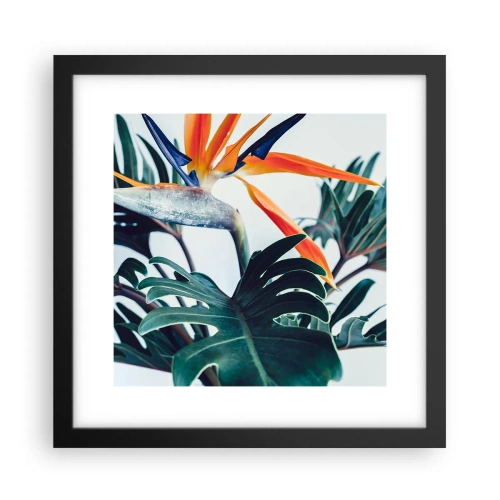 Poster in cornice nera - Pianta uccello - 30x30 cm
