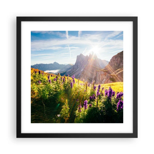 Poster in cornice nera - La vita segreta delle erbe - 40x40 cm