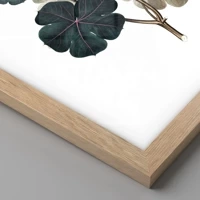 Rovere chiaro