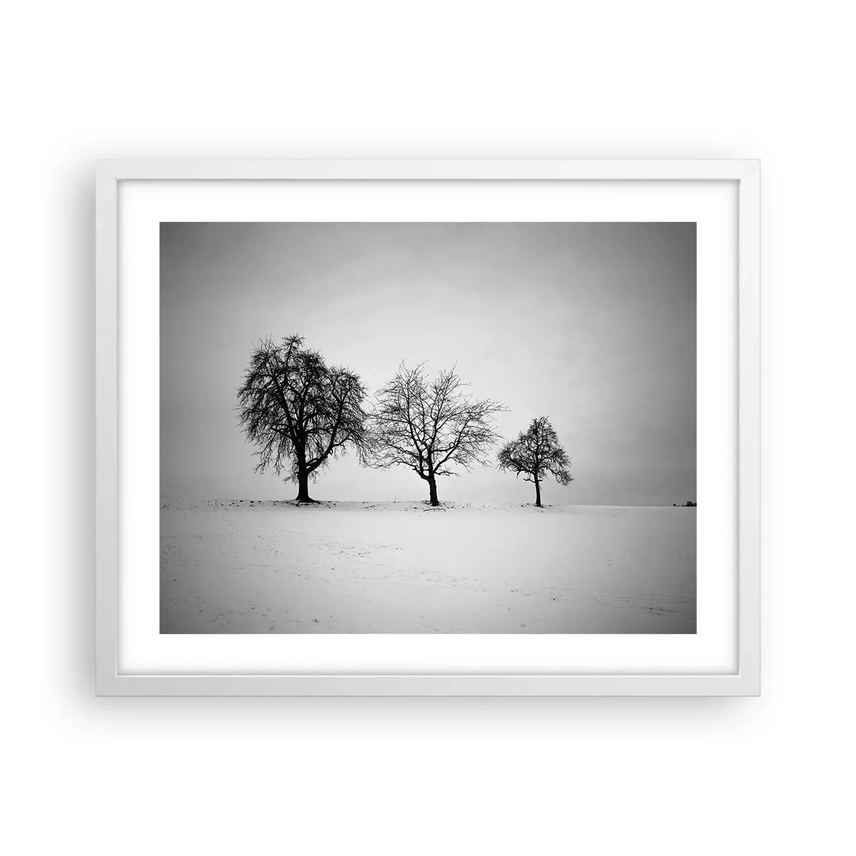 Poster in cornice bianca - Cosa sognano? - 50x40 cm