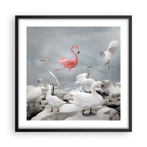 Poster in cornice nera - Come sono arrivato qui? - 50x50 cm