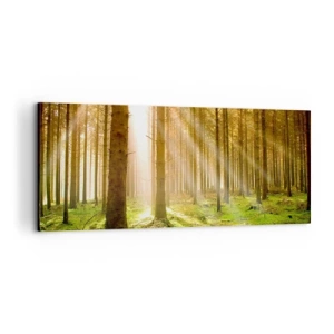Quadro su tela - Stampe su Tela - Adesso appaiono gli elfi - 100x40 cm