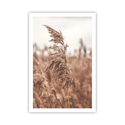 Poster - Nei campi è già autunno - 61x91 cm