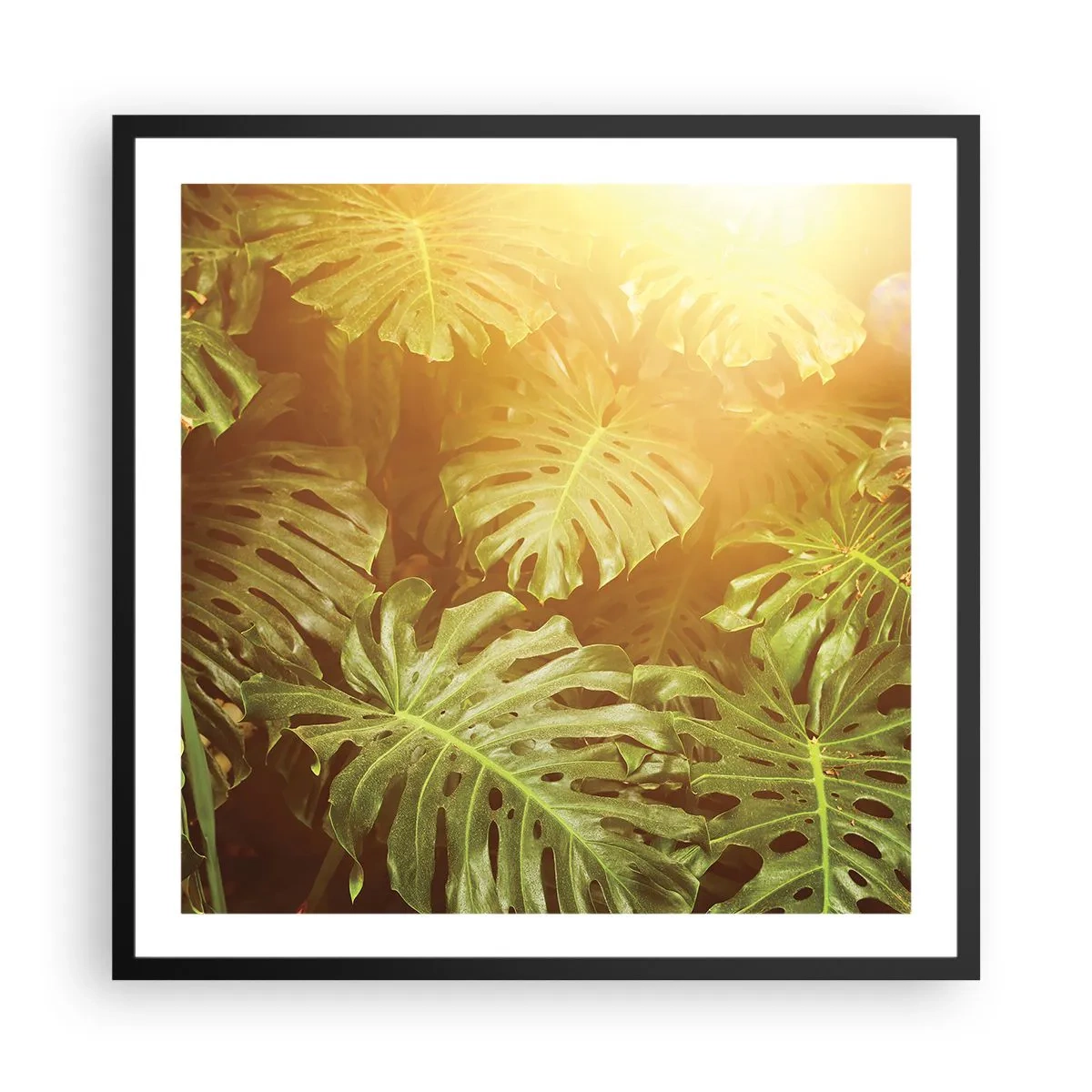 Poster in cornice nera - Entrando nel verde... - 60x60 cm
