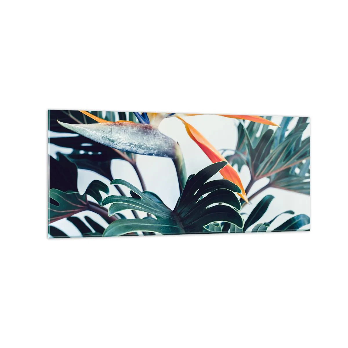 Quadro su vetro - Fiore di Strelitzia circondato da foglie in piena luce - 120x50cm - Pianta uccello - Decorazione murale moderna per soggiorno e camera da letto ARTTOR