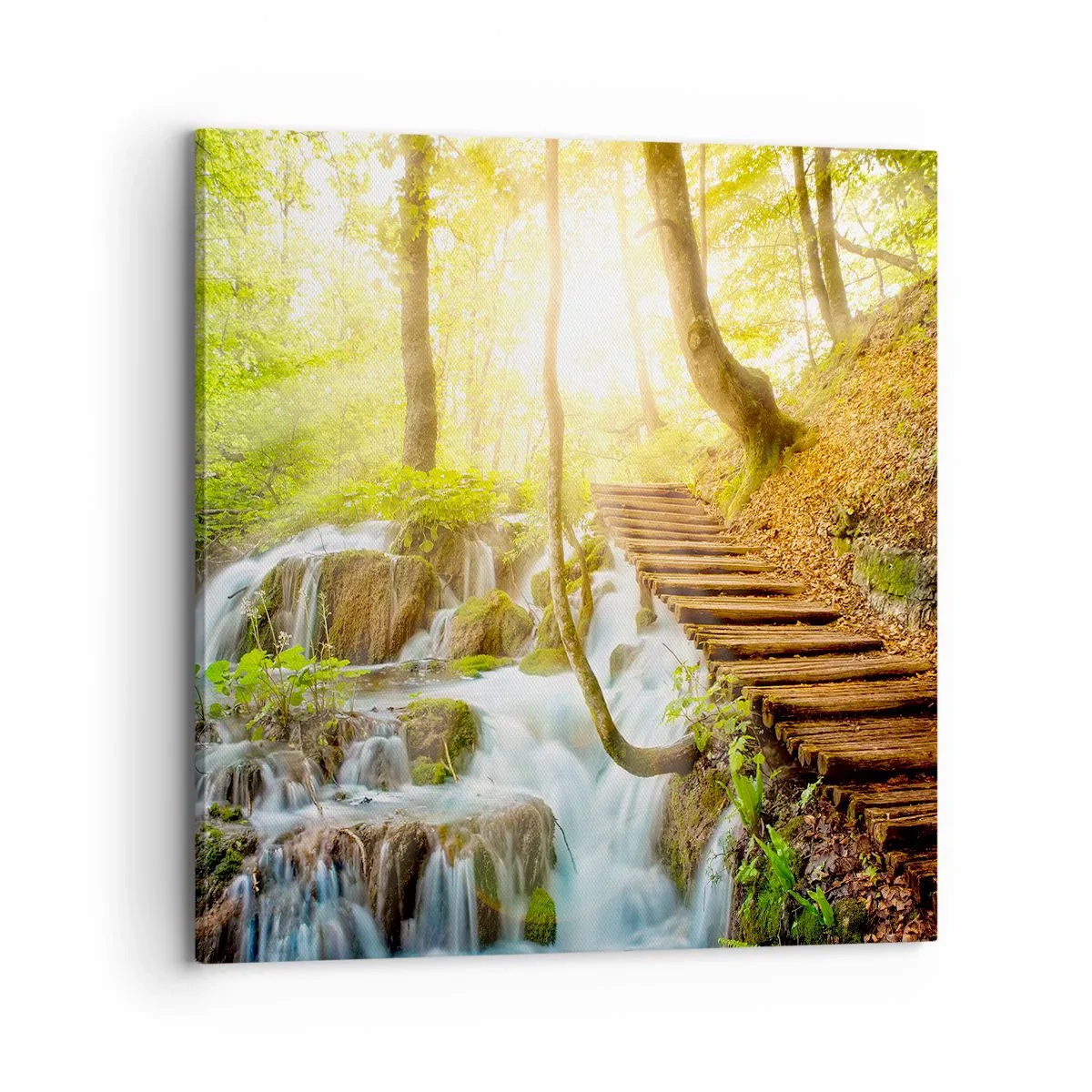 Quadro su tela - Stampe su Tela - Bramata freschezza - 70x70 cm