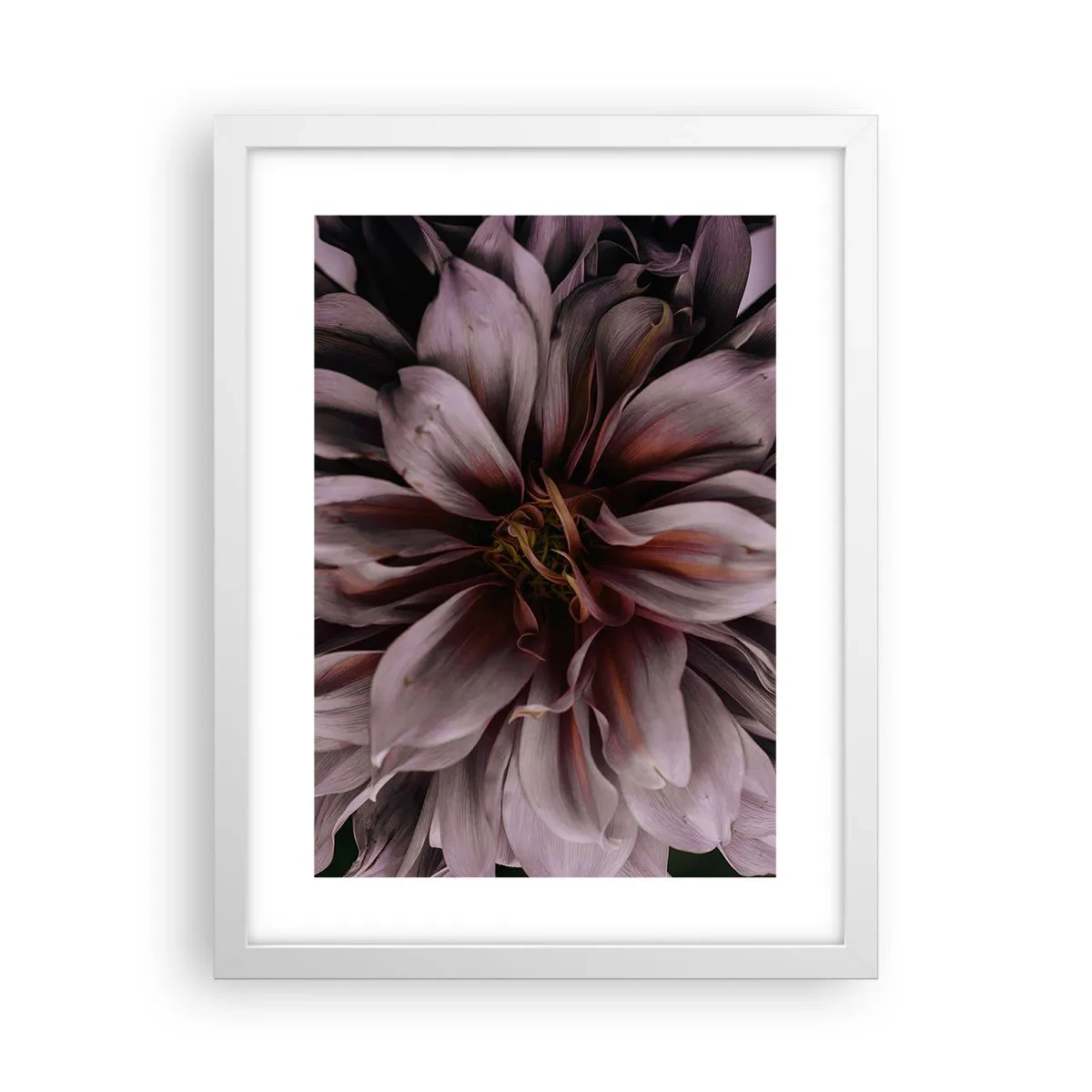 Poster in cornice bianca - Cuore d'aprile - 30x40 cm